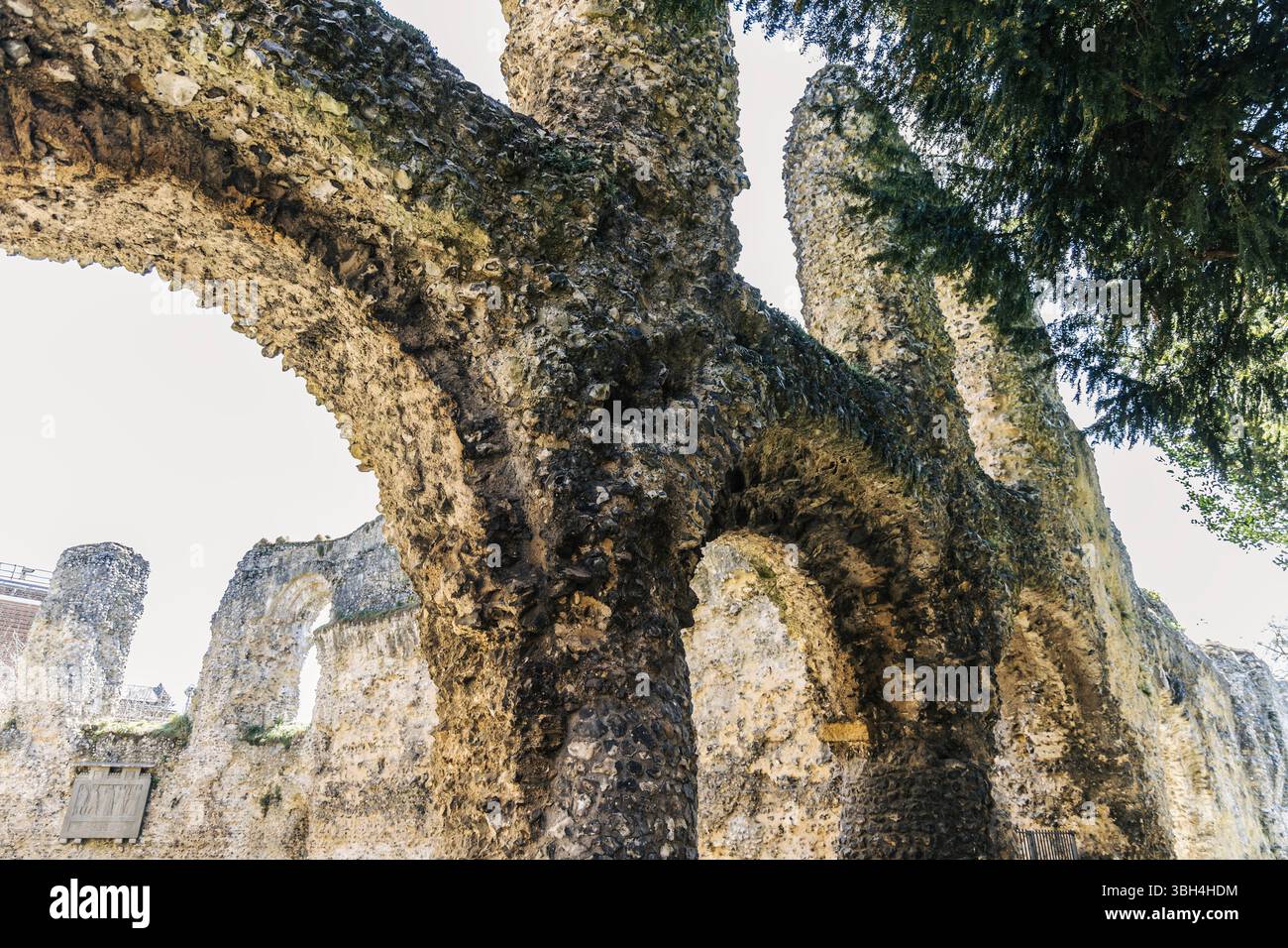 Reading Abbey Ruins, Reading, Berkshire, Inghilterra Foto Stock