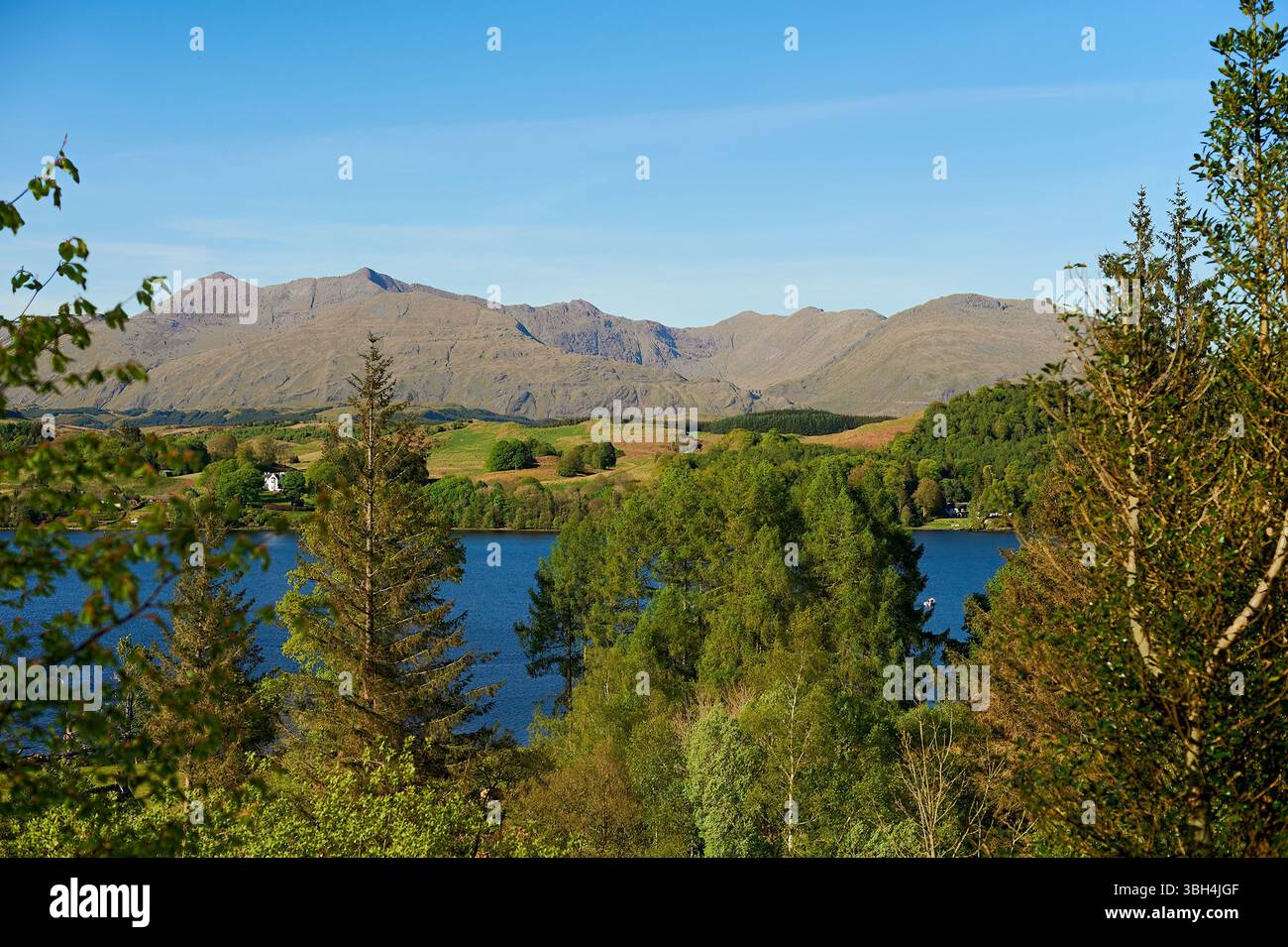 Guardando oltre Loch Awe fino a Ben Cruachan, Argyll, Scozia, Regno Unito Foto Stock