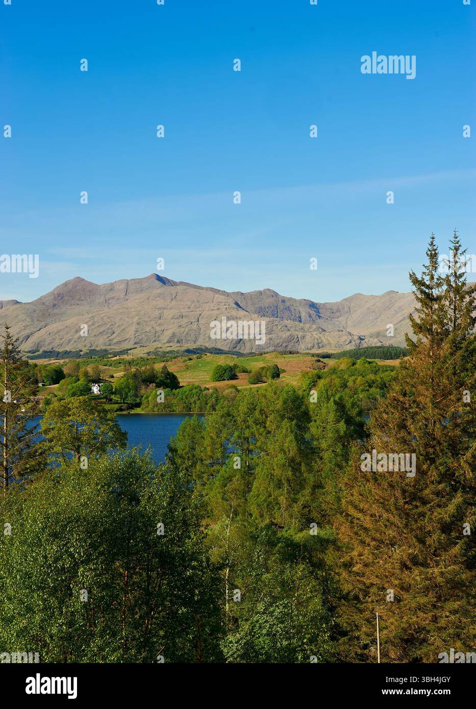 Guardando oltre Loch Awe fino a Ben Cruachan, Argyll, Scozia, Regno Unito Foto Stock