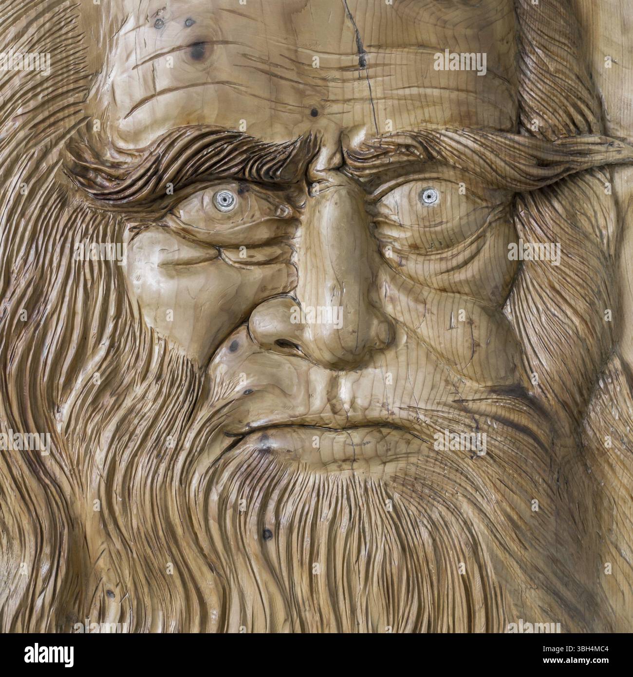 Primo piano della faccia di Leonardo da Vinci, scolpita su una tavola di legno Foto Stock