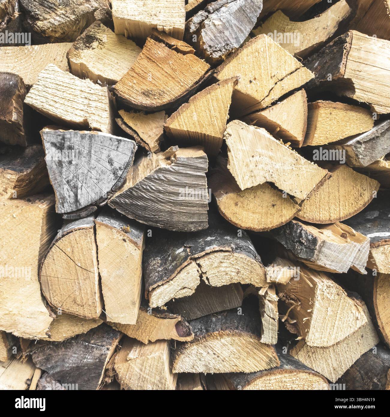 Sfondo legna da ardere. Legna da ardere impilata in preparazione per l'inverno. Legno secco Foto Stock