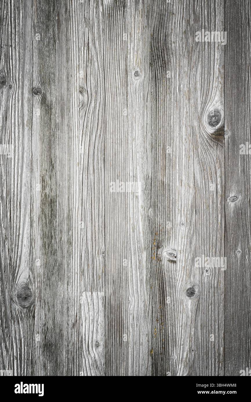 Tavole di legno sovrappongono la trama al tuo progetto. Sfondo shabby chic. Sfondo di texture in legno facile da modificare Foto Stock