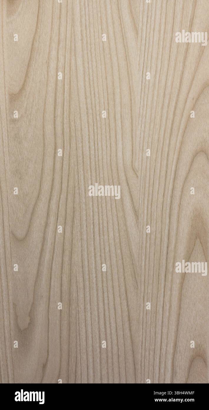 Superficie di sfondo legno con schema naturale Foto Stock