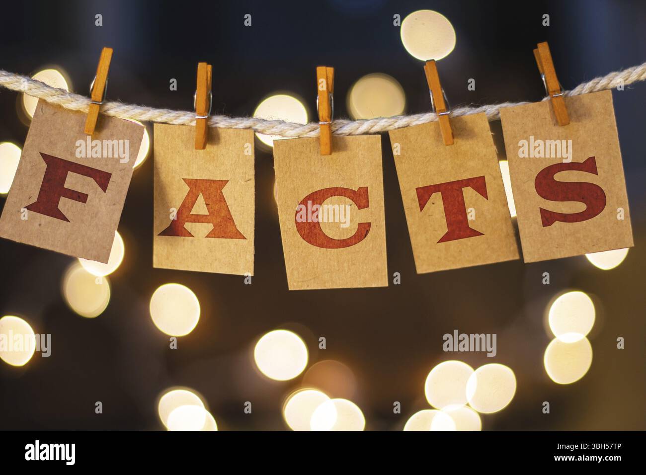 La parola "FATTI" è stampata su carte clothespin tagliate davanti a luci incandescenti sfocate Foto Stock