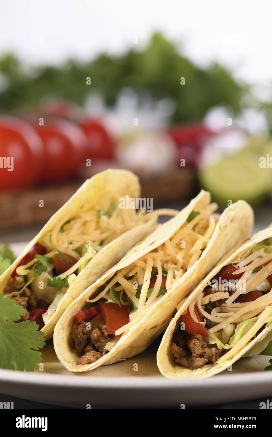Taco con macinato di manzo e avocado, cavolo e formaggio. Cucina messicana Foto Stock