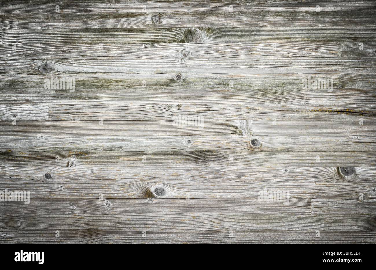 Tavole di legno sovrappongono la trama al tuo progetto. Sfondo shabby chic. Sfondo di texture in legno facile da modificare Foto Stock