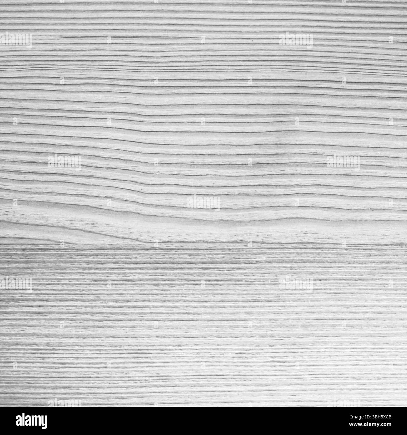 Sfondo in legno bianco rustico in stile fotografico. Legno sfuso. Sfondo digitale. Immagine digitale. Legno di sabbia Foto Stock
