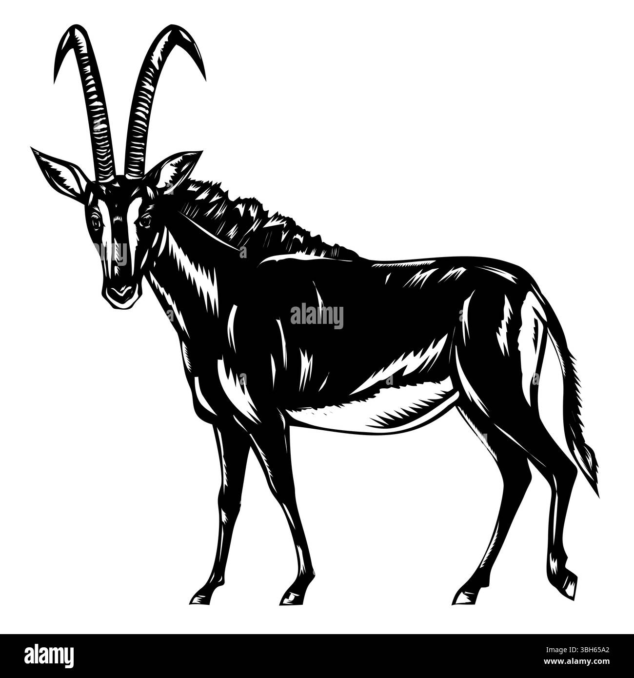 Illustrazione retrò in stile xilografico di un antilope zibellino o Hippotragus niger, una grande antilope originaria della savana boschiva nell'Africa orientale e meridionale Illustrazione Vettoriale