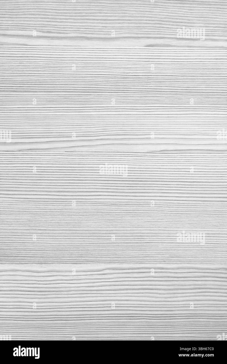 Sfondo in legno bianco rustico in stile fotografico. Legno sfuso. Sfondo digitale. Immagine digitale. Legno di sabbia Foto Stock