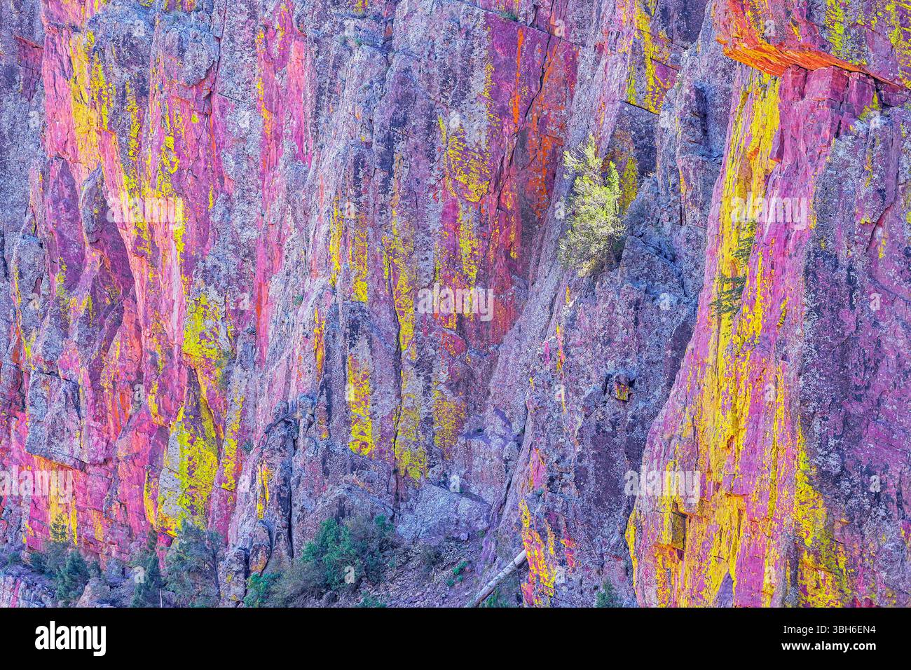 Parete multicolore del canyon, Coconino National Forest, Arizona, USA, Nord America Foto Stock