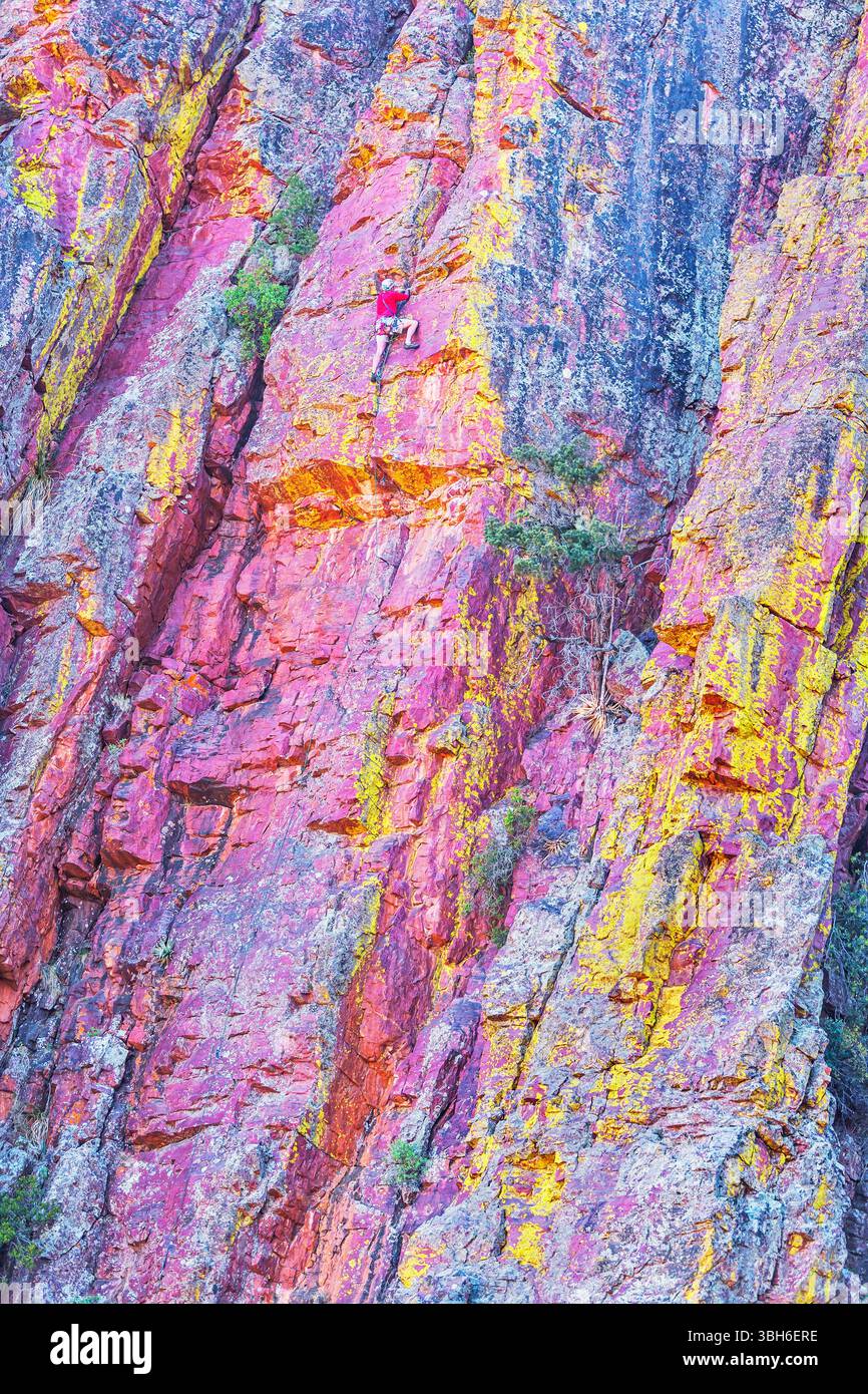 Arrampicata maschile, Coconino National Forest, Arizona, Stati Uniti, Nord America Foto Stock