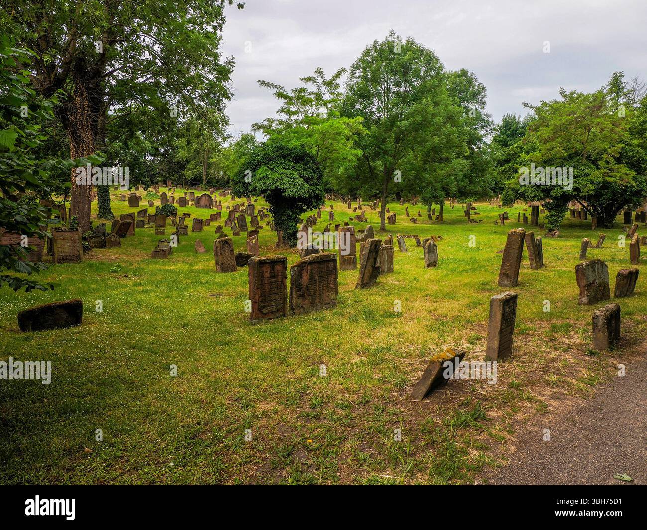 Il cimitero storico ebraico Worm, Germania Foto Stock