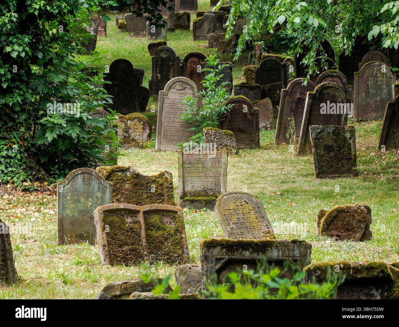 Il cimitero storico ebraico Worm, Germania Foto Stock