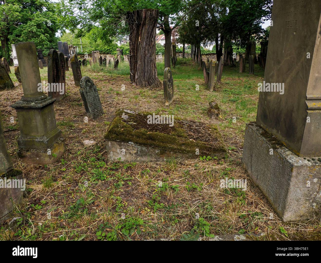 Il cimitero storico ebraico Worm, Germania Foto Stock