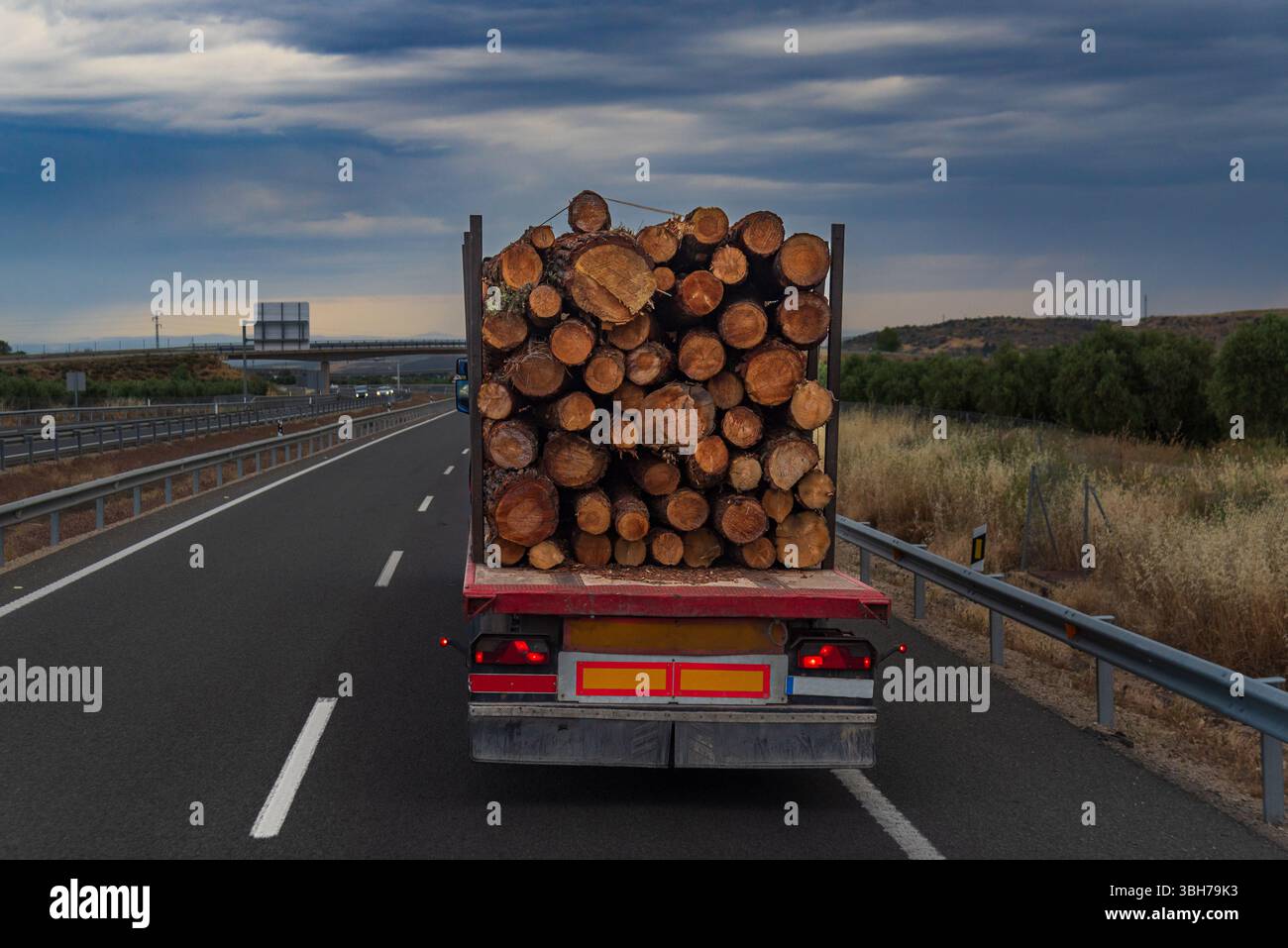 Vista posteriore di un autocarro carico di tronchi che circolano in autostrada, primo piano. Foto Stock