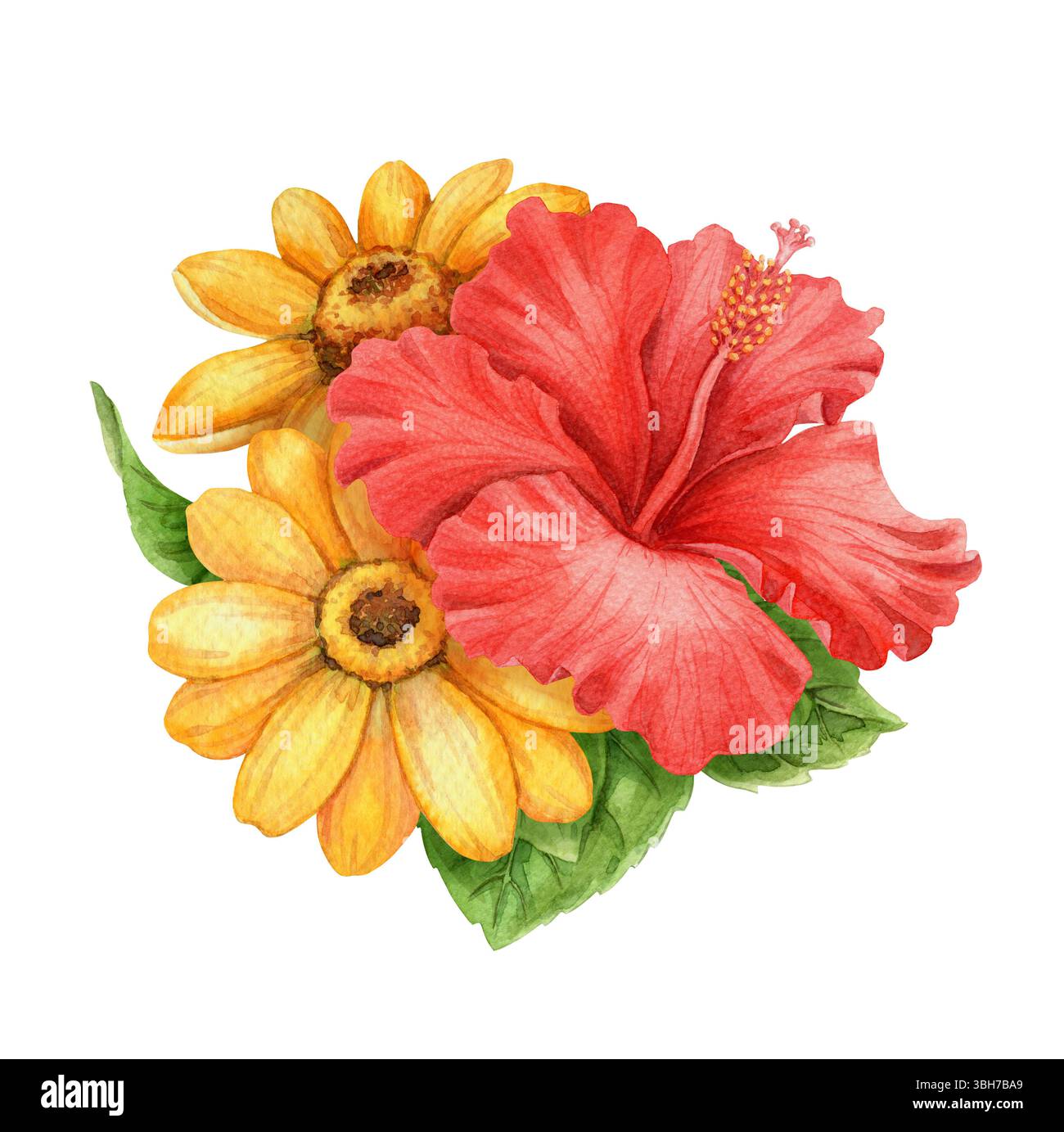Fiori di ibisco rosso e girasole piccolo bouquet estivo. Arte ad acquerello disegnata a mano con motivi floreali e foglie. Elemento grafico vibrazione vacanze Foto Stock