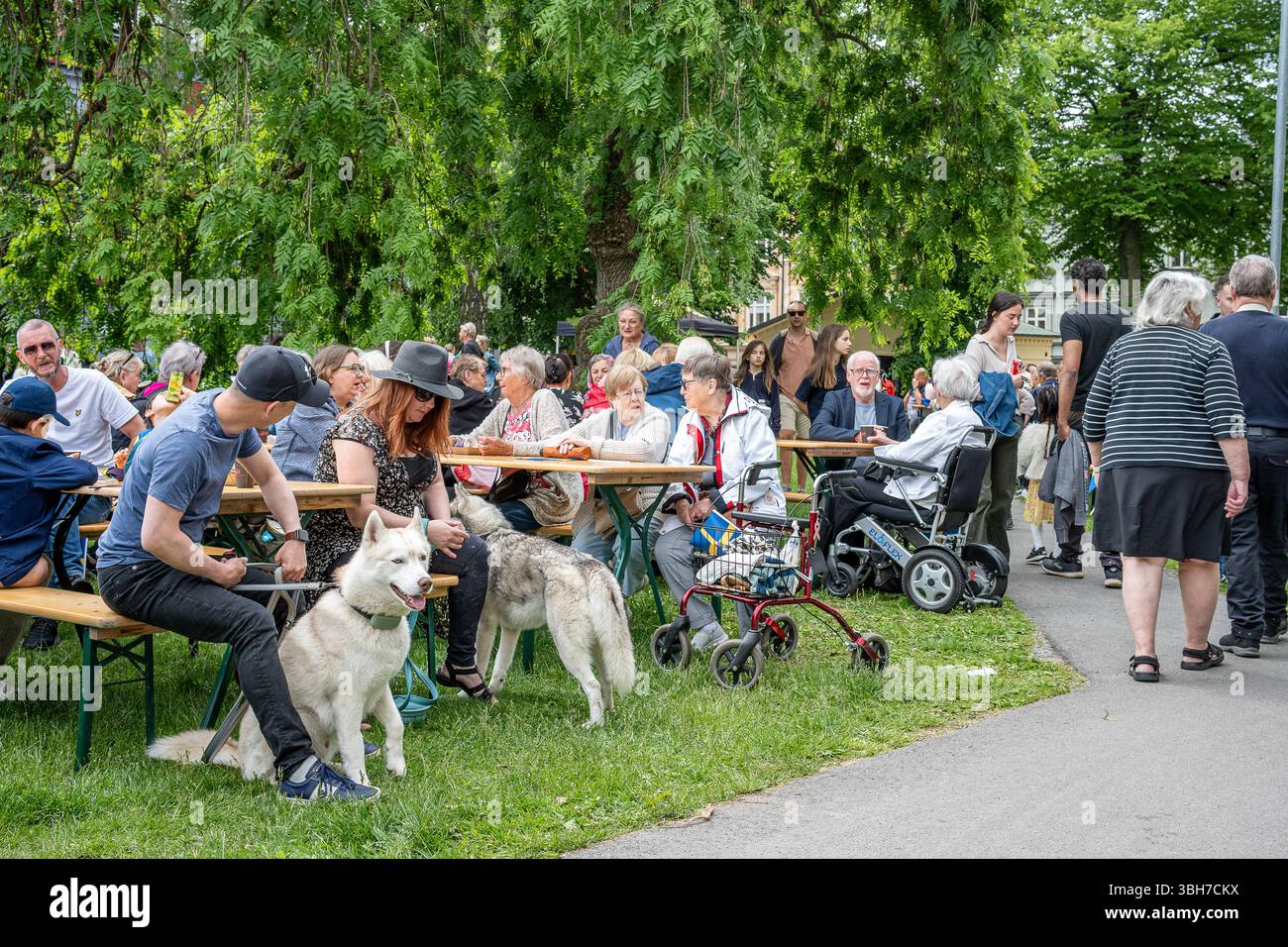 Festa nazionale svedese all'Olai Park di Norrkoping. Norrkoping è una storica città industriale della Svezia. Foto Stock