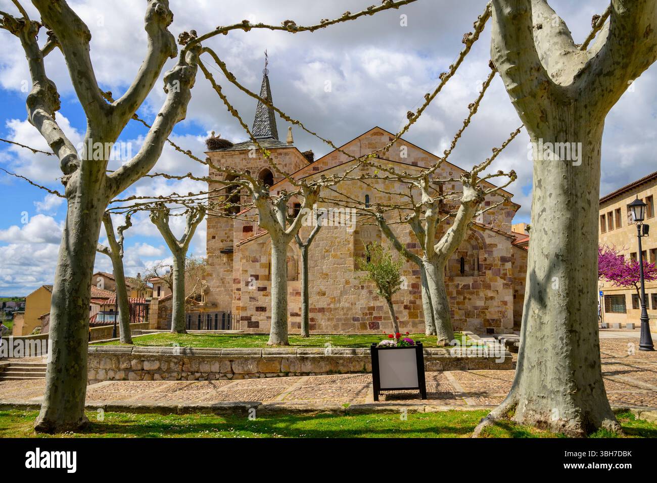 Chiesa Iglesia de San Cipriano, Zamora, Castiglia e León, Spagna Foto Stock