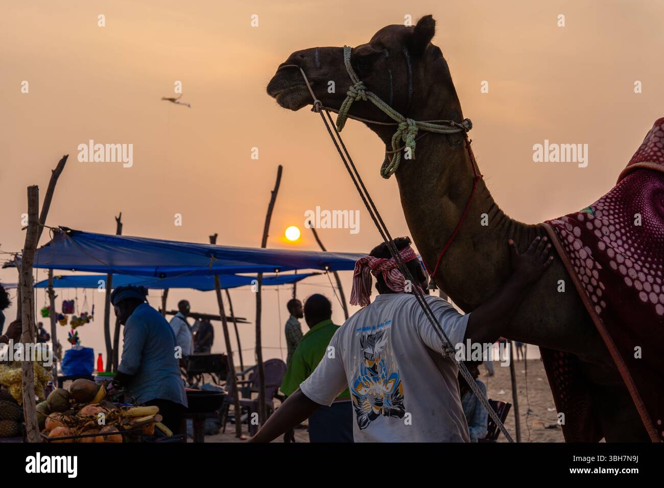 Giro in cammello e gente del posto al tramonto su una spiaggia di Kerala, India, con bancarelle di cibo tradizionale e un caldo cielo arancione Foto Stock