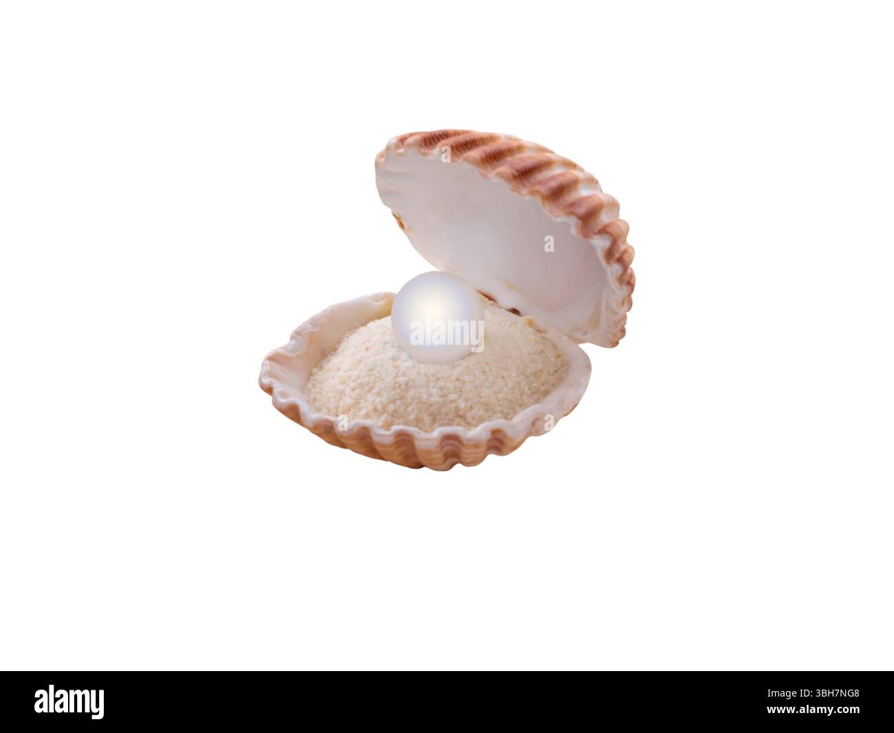 Aprire il guscio con una perla isolata su sfondo bianco. Conchiglia marrone a coste. Foto Stock