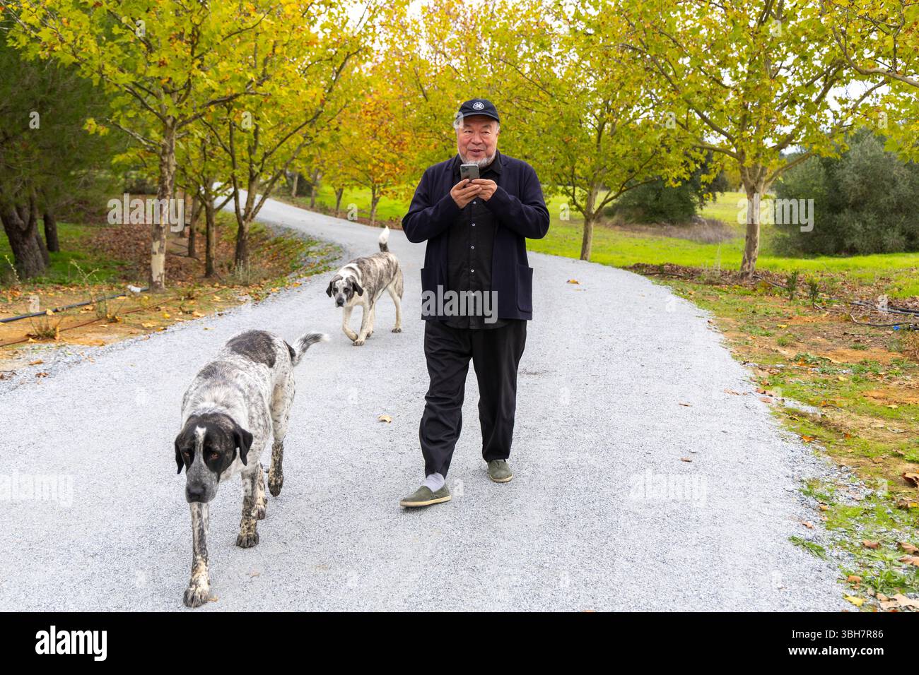 Ai Weiwei sta andando al suo nuovo atelje con i suoi due cani che parlano al telefono, all'interno del suo nuovo atelje nella sua casa a Montemor-o-Novo in Portogallo Foto Stock