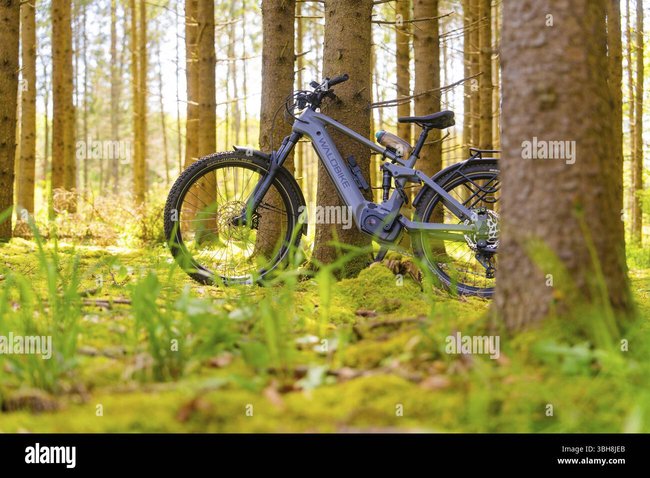 Una bicicletta elettrica si trova su un terreno morbido e muschiato nella fitta e tranquilla foresta, escursione in bicicletta elettrica, Gechingen, distretto di Calw, Germania, Europa Foto Stock