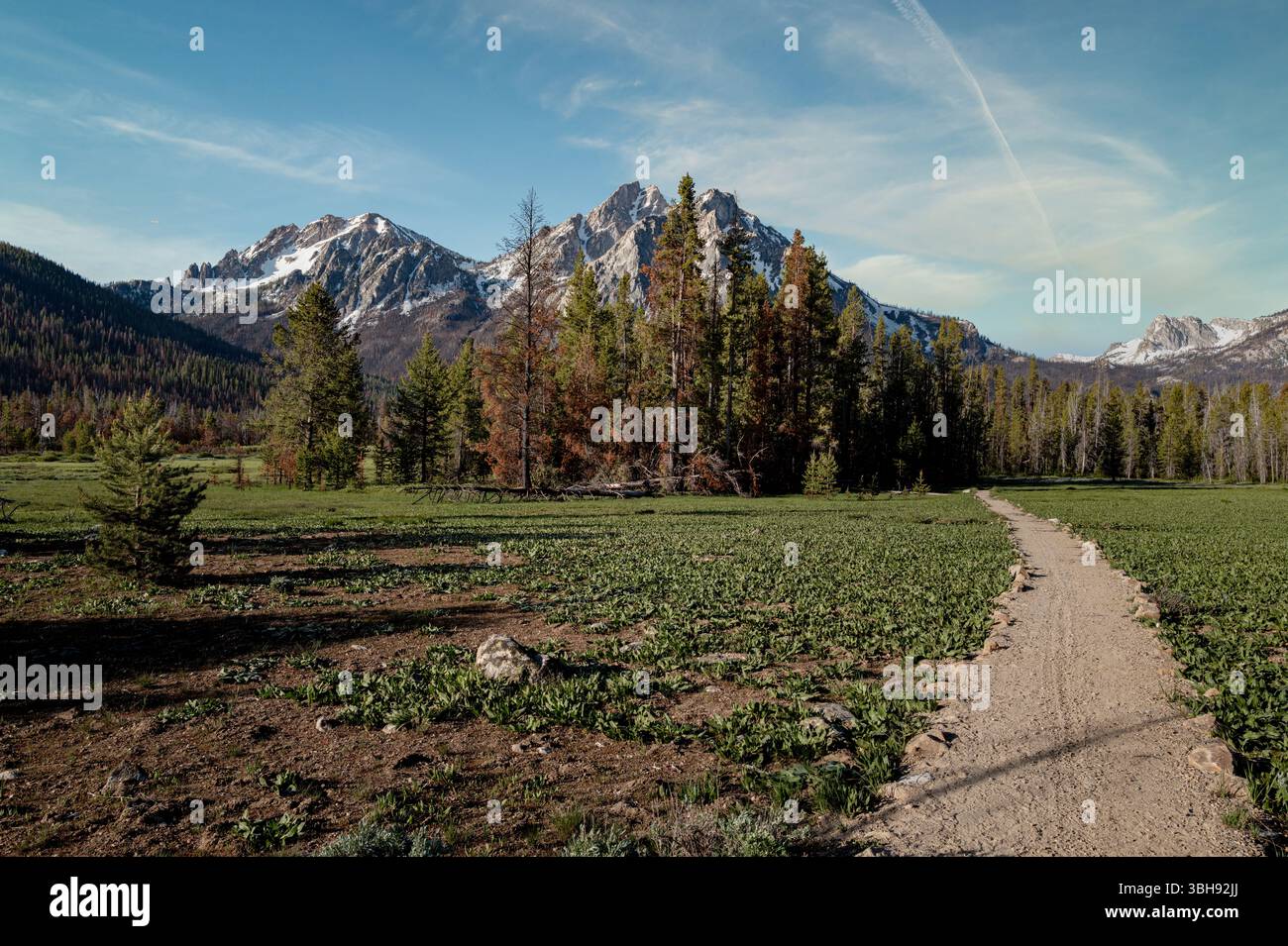 Il sentiero conduce alla natura selvaggia dell'Idaho Foto Stock