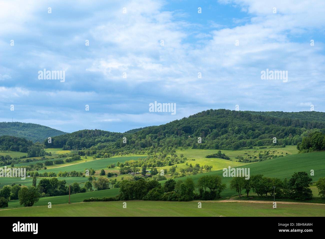 Paesaggio di bassa catena montuosa con cime boscose e agricoltura e le parti inferiori, visto dal castello di Ludwigstein, Assia, Germania Ovest, Europa Foto Stock