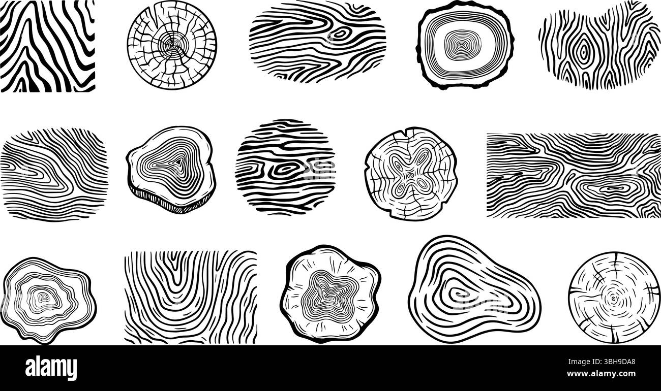 Trame di tronchi ad albero Doodle. Anelli di alberi, tronchi e strutture di tronchi diversi. Elementi in legno astratto, semplici forme organiche naturali, vettore neoterico Illustrazione Vettoriale