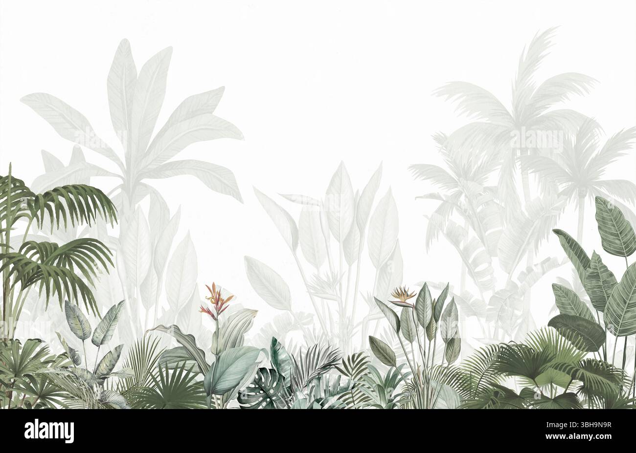 Sfondo tropicale in scala di grigi sottile: Palme delicate e design a foliera per interni Foto Stock