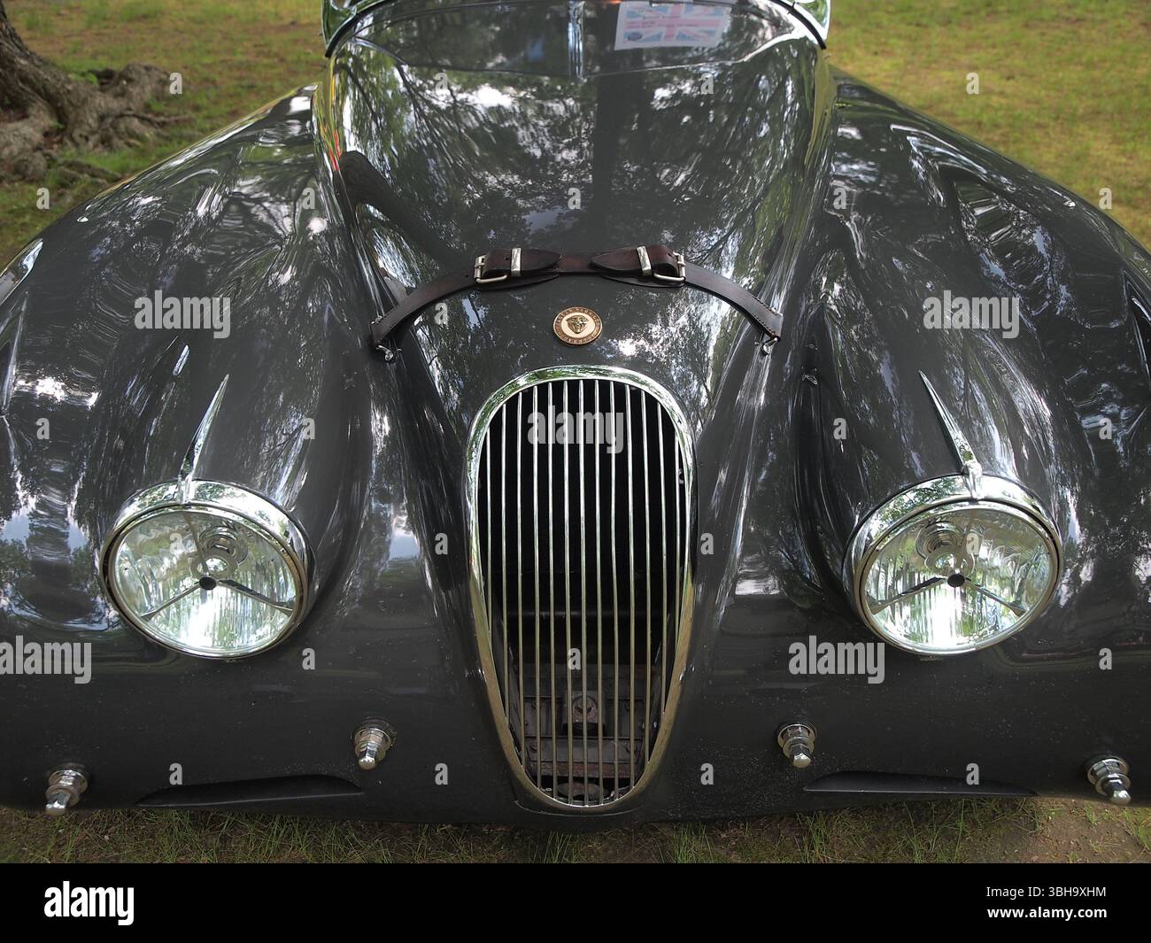 Dettagli di auto britanniche in una recente mostra di auto d'epoca nel New Jersey. I dettagli mostrano l'unicità delle automobili più vecchie che non si trovano sulle auto di oggi. Foto Stock