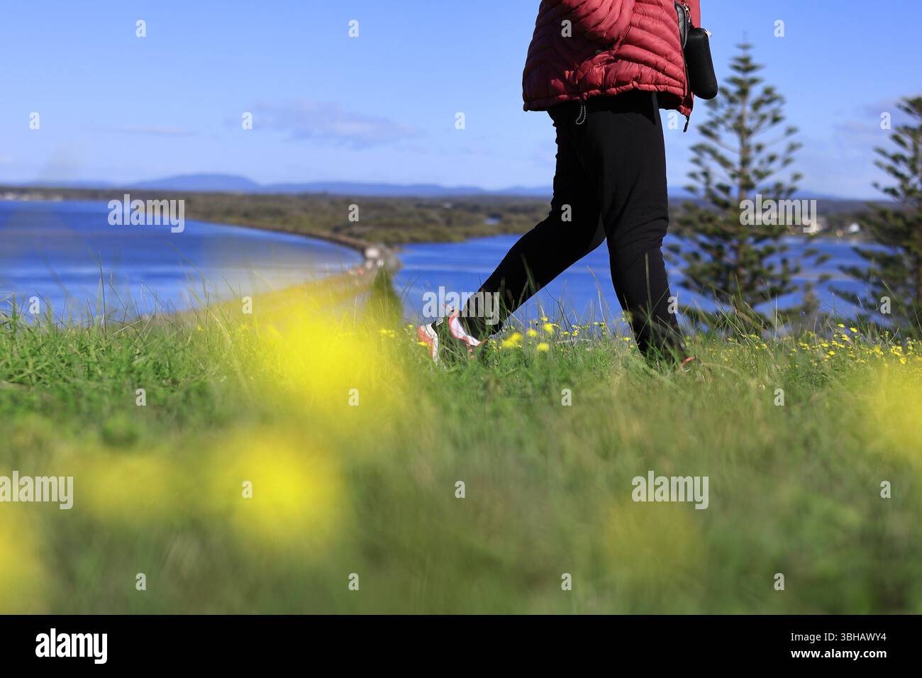 Una persona che si gode una passeggiata panoramica lungo un sentiero costiero in una giornata di sole, con vibranti fiori selvatici in primo piano e viste sull'oceano sullo sfondo nelle vicinanze Foto Stock