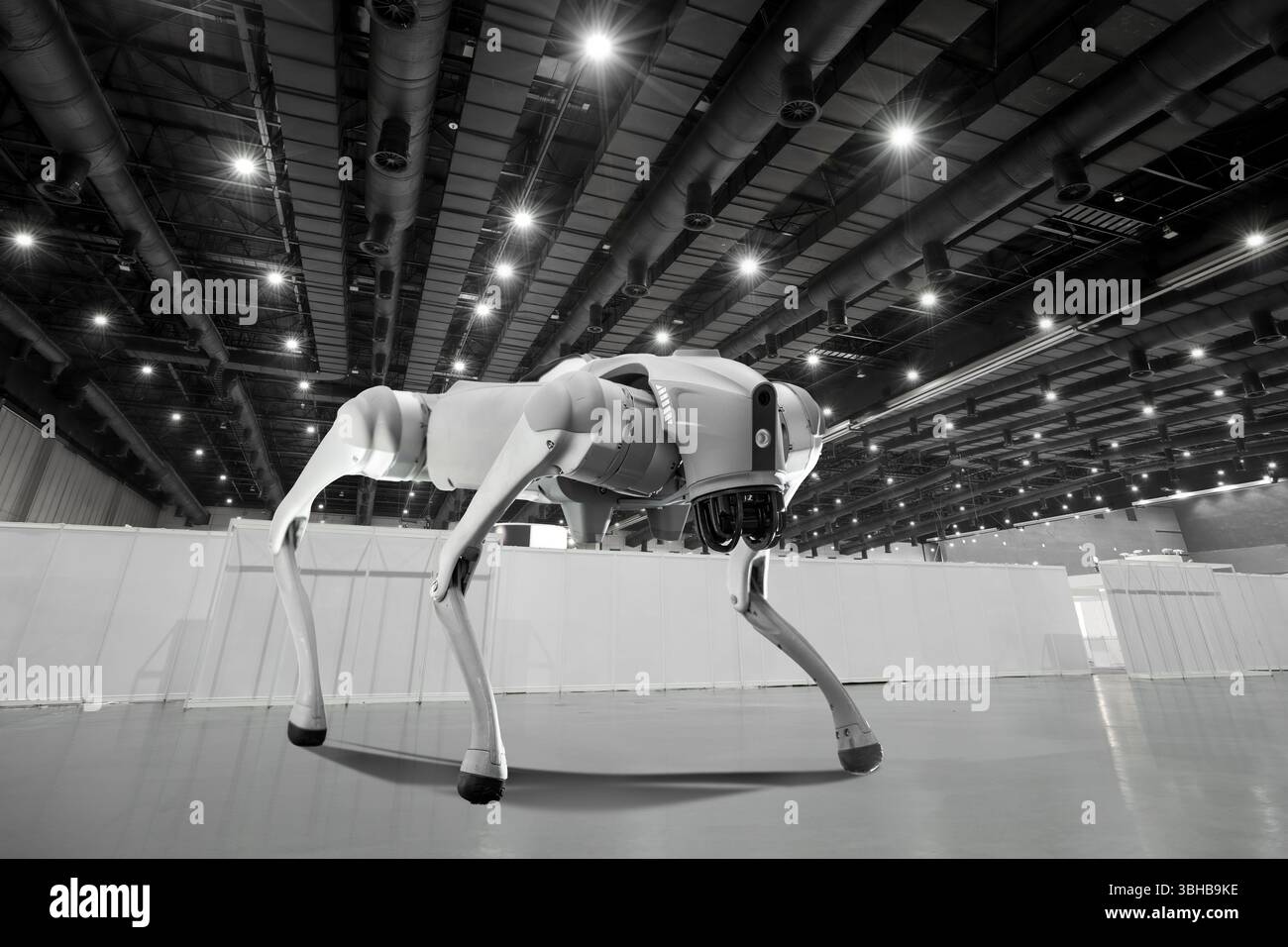 Cyber dog robotizzato su sfondo semplice. Foto Stock