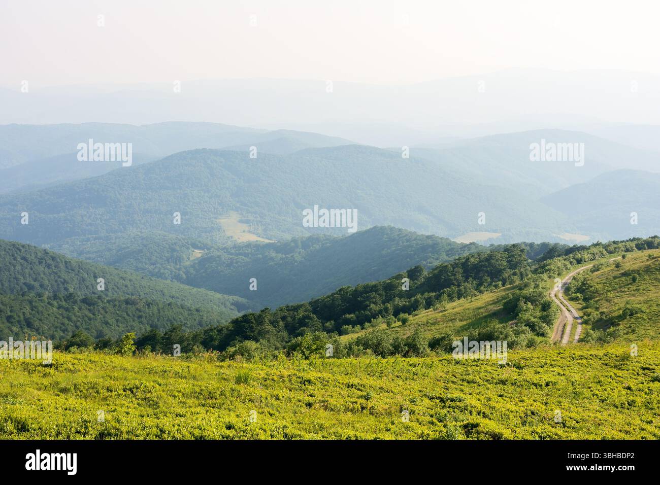splendida vista sul paesaggio montano in estate. verde collina che si muove in lontananza alla luce della sera Foto Stock