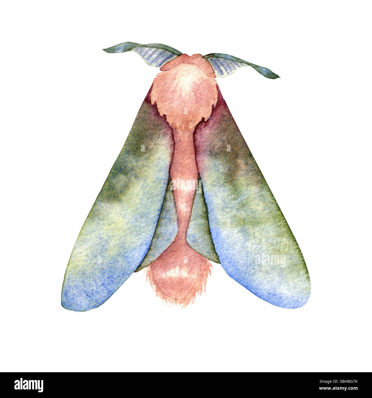 Illustrazione ad acquerello di falena mistica con ali verdi e blu, che simboleggiano trasformazione, intuizione e magia notturna. Perfetto per progetti esoterici, rituali, Wicca e disegni a tema misterioso. Foto Stock