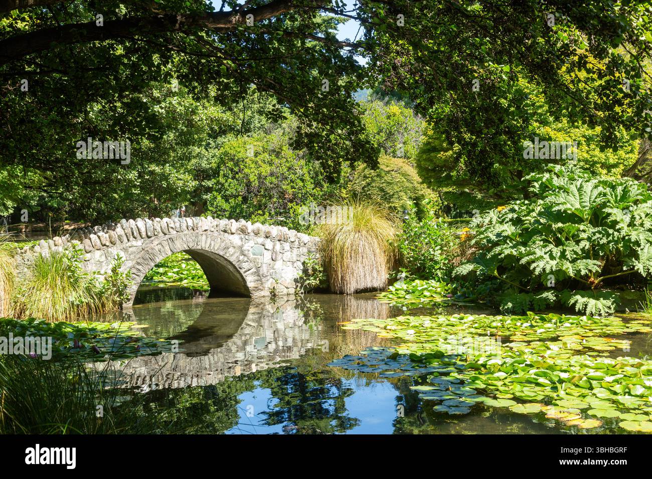 Piccolo ponte di pietra su uno stagno nei Queenstown Gardens, Queenstown, Otago, nuova Zelanda Foto Stock