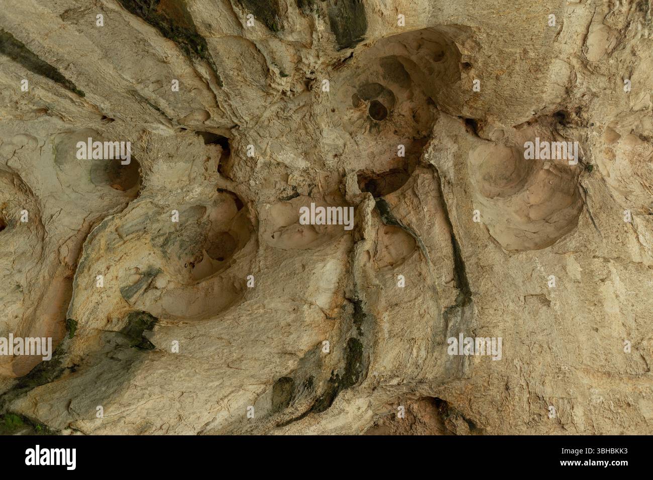 Primo piano del soffitto in roccia naturale con tasche ed erosione in tonalità beige. Foto Stock