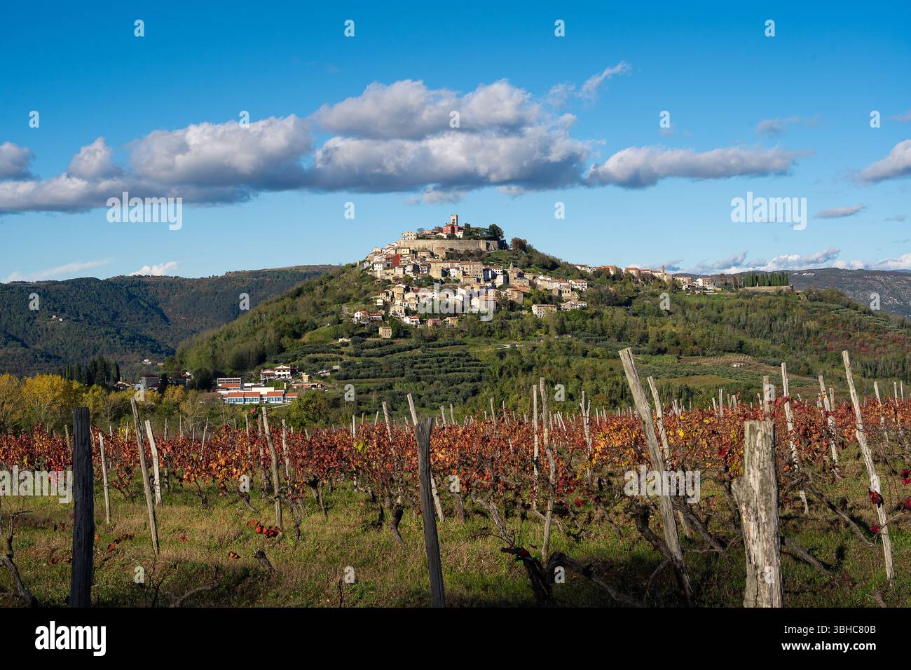 Vista di un vigneto e del paesaggio in Istria, Croazia, con cielo blu e nuvole Foto Stock