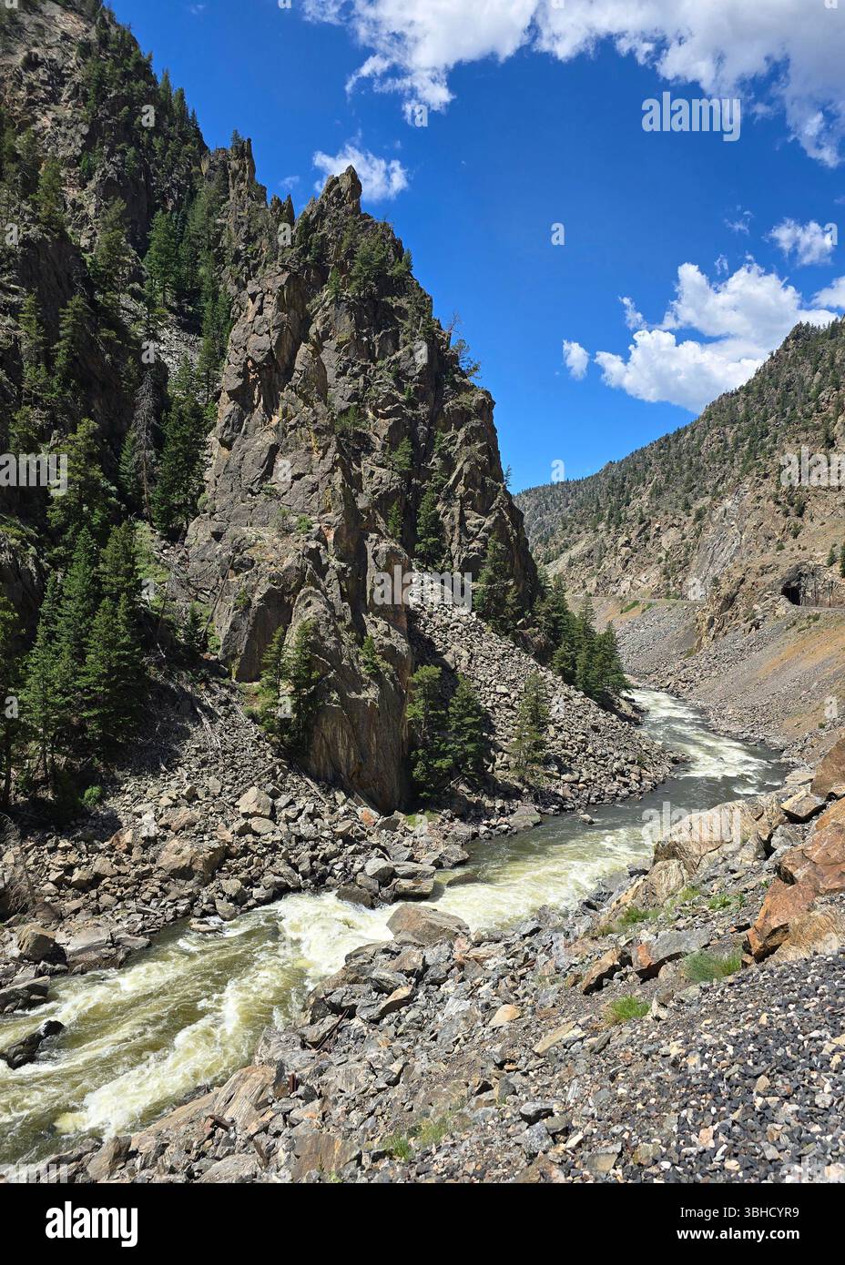 Pini che costeggiano una tranquilla riverbend lungo un sentiero roccioso tra le montagne del Colorado. - Immagine stock catturata con smartphone