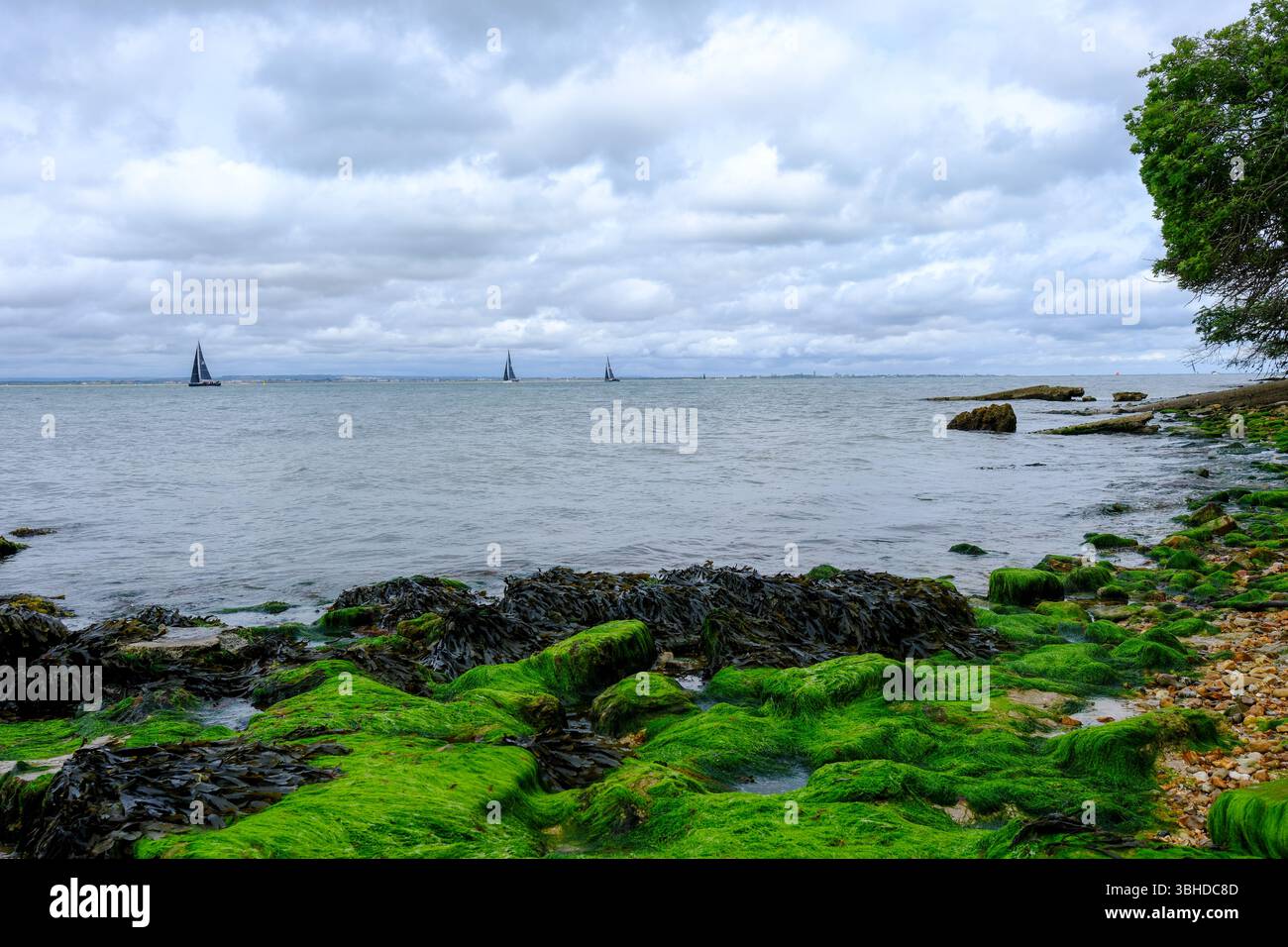 7 giu 2025 - Cowes, Isola di Wight - barche a vela nell'Isola di Wight, giro dell'isola di corsa nella tappa finale a Cowes. Foto Stock