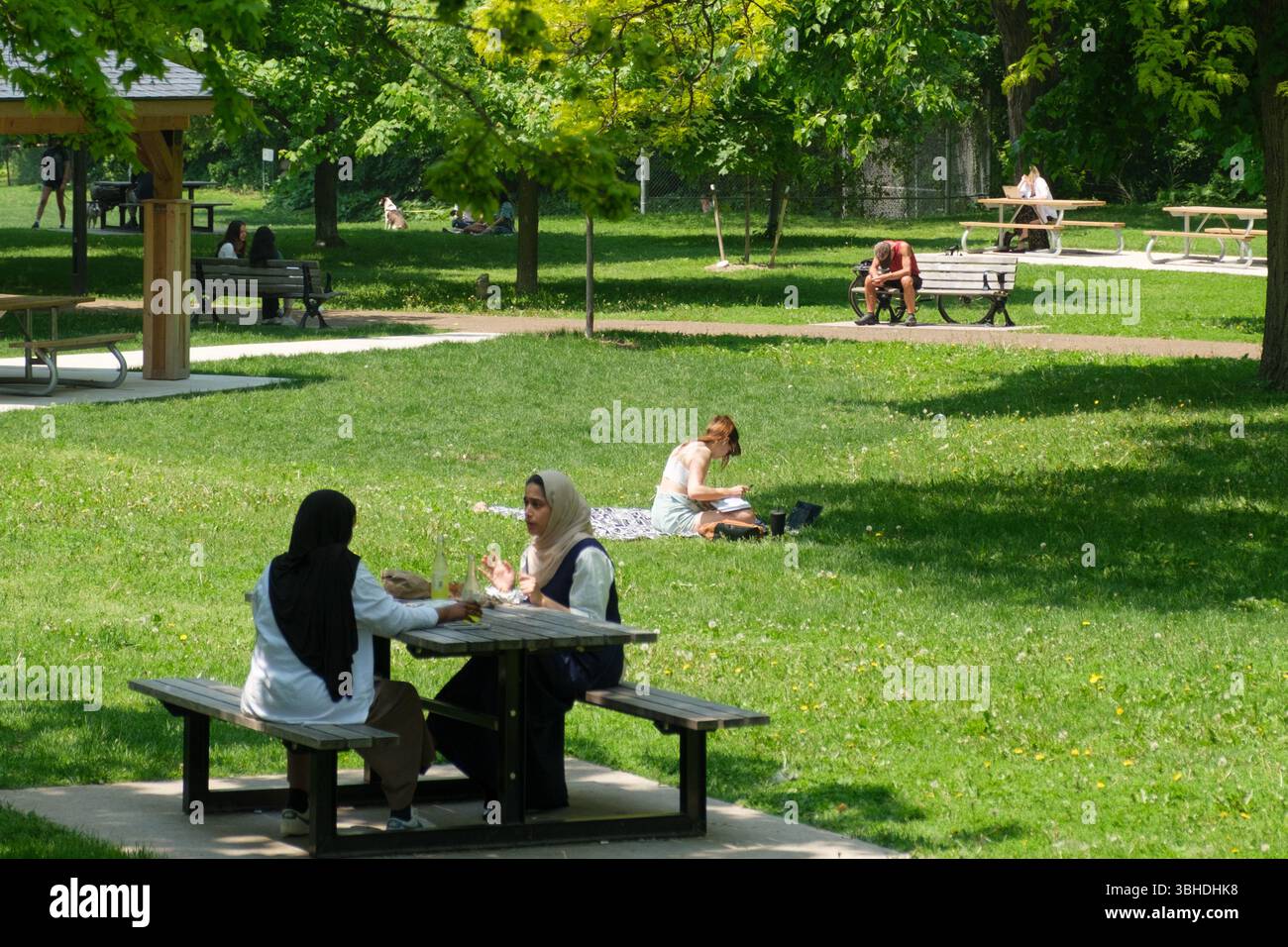 Il Canada è una nazione multiculturale formata da immigrati provenienti da diversi background, storie, religioni e stili di vita. Qui c'è un parco nel centro di Toronto. Foto Stock