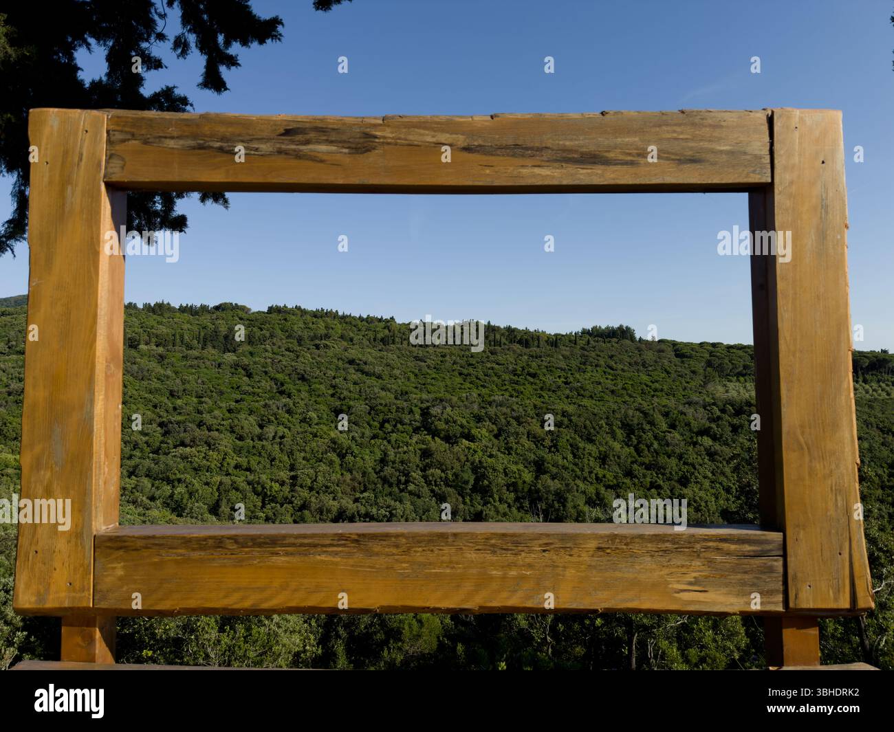 Spot fotografico di viaggio con cornice in legno che si affaccia su una vasta foresta verde sotto il cielo blu, ideale per blog di avventura, annunci turistici, grafica scenica del marchio, e. Foto Stock