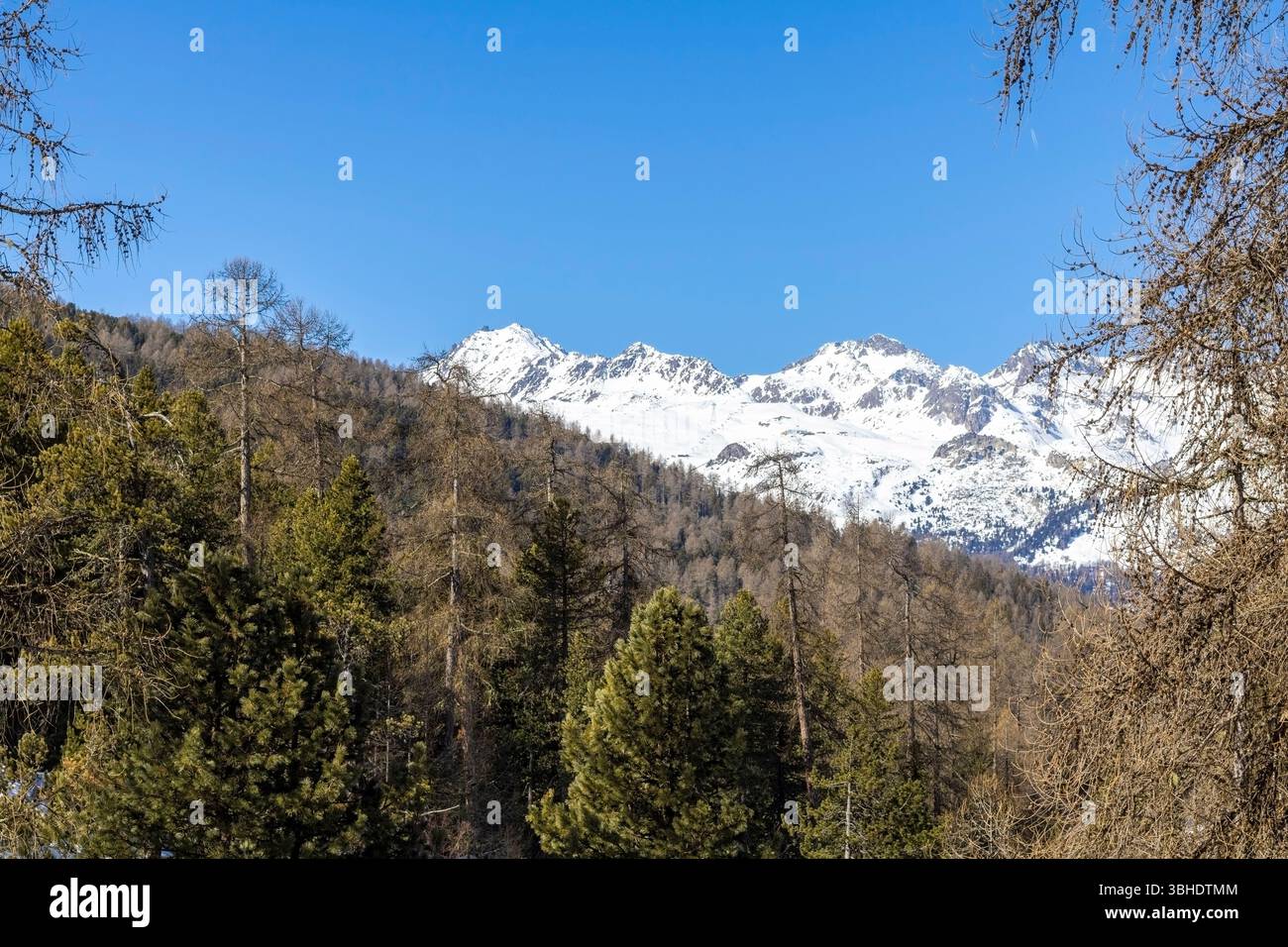 Picchi di montagna a Pontresina, Svizzera Foto Stock