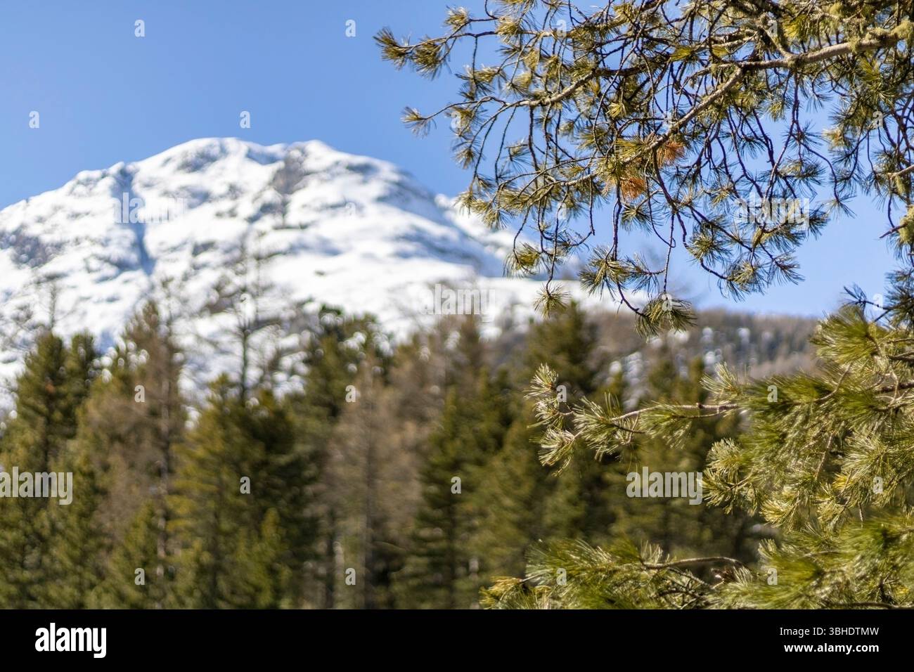 Picchi di montagna a Pontresina, Svizzera Foto Stock