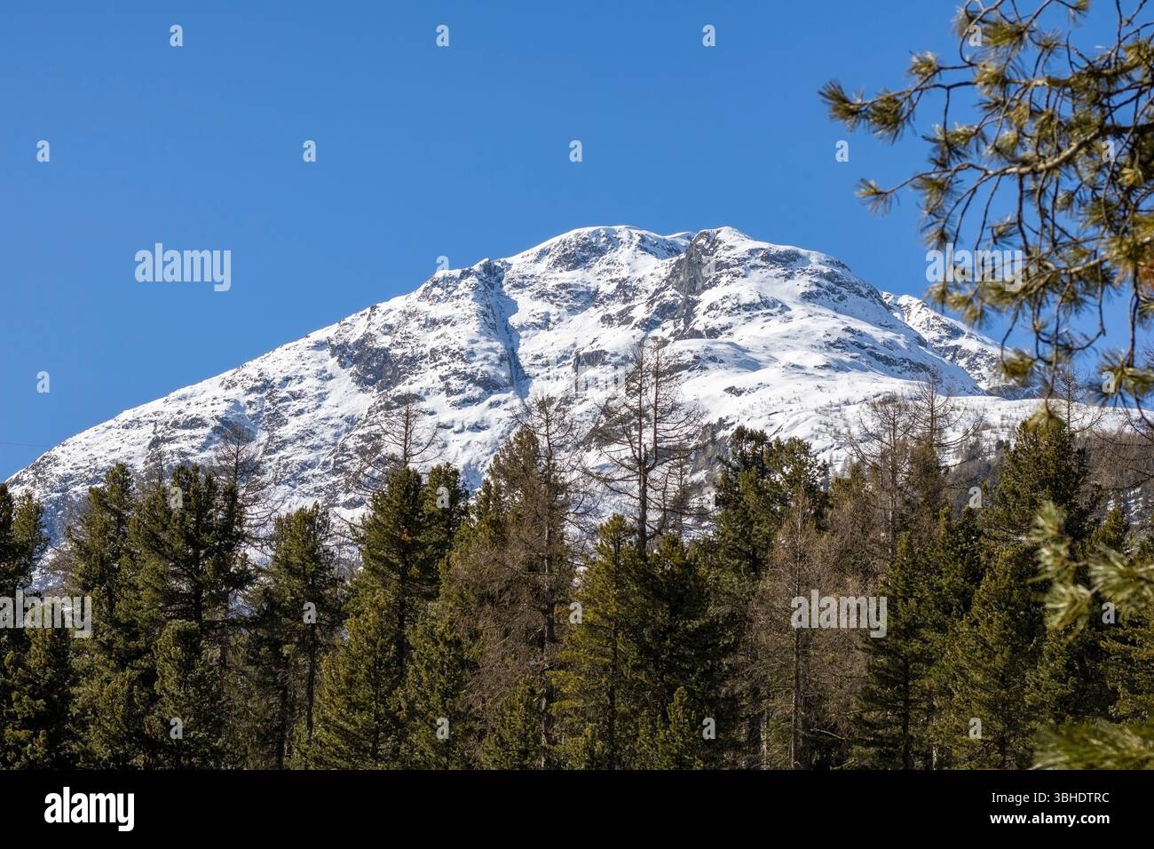 Picchi di montagna a Pontresina, Svizzera Foto Stock