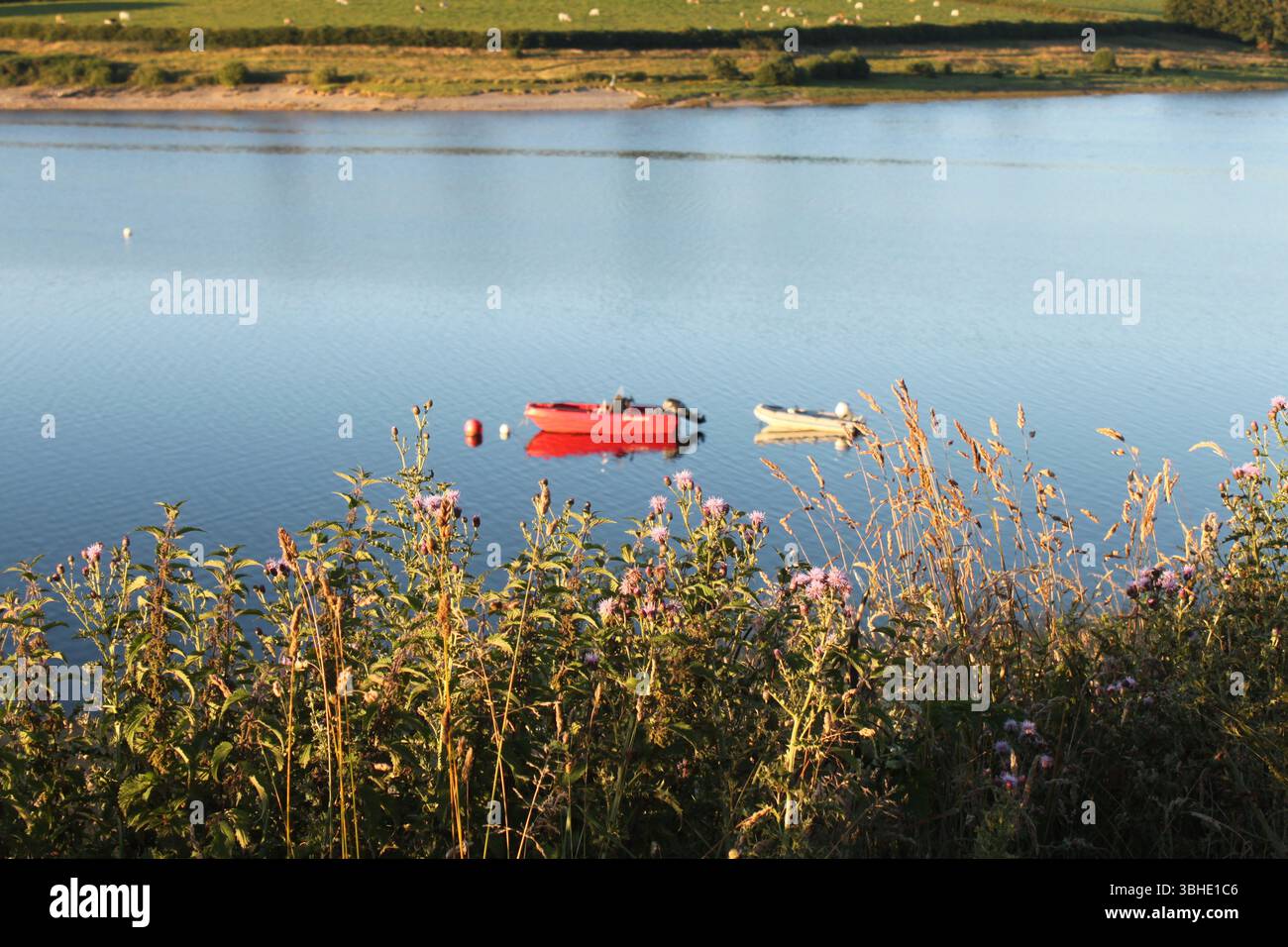 Due piccole barche galleggiano tranquillamente su un lago calmo, circondato da fiori selvatici Foto Stock
