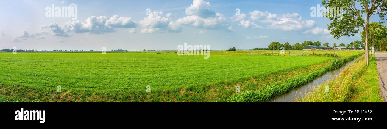 Panorama panoramico della verde campagna olandese aperta vicino a Gouda, Paesi Bassi occidentali Foto Stock