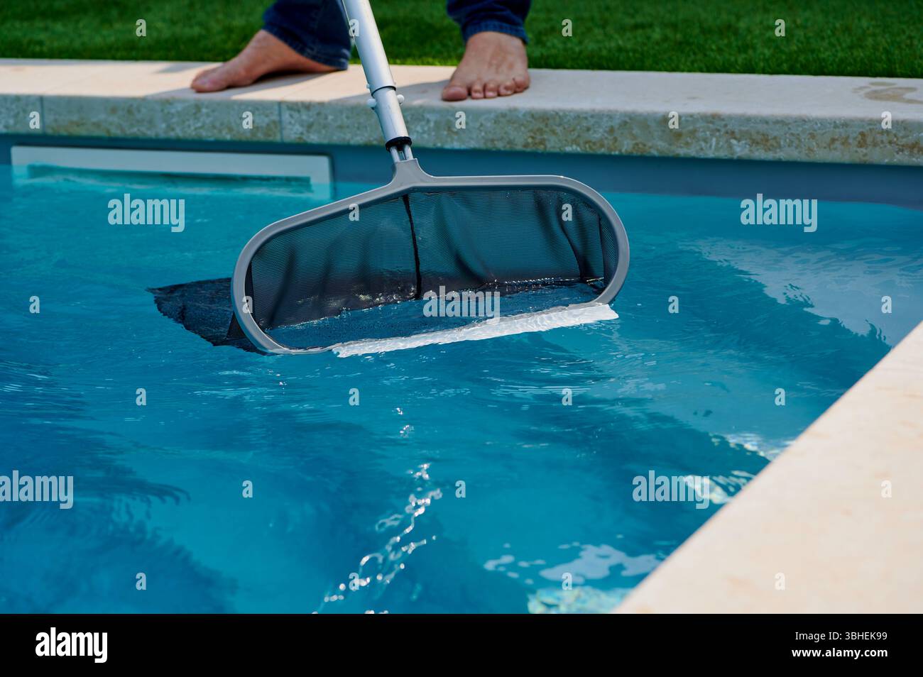 Una persona si trova vicino al bordo di Una piscina limpida, usando Uno Skimmer per rimuovere le foglie dall'acqua in Una giornata di sole. La vivace bussola per erba verde Foto Stock