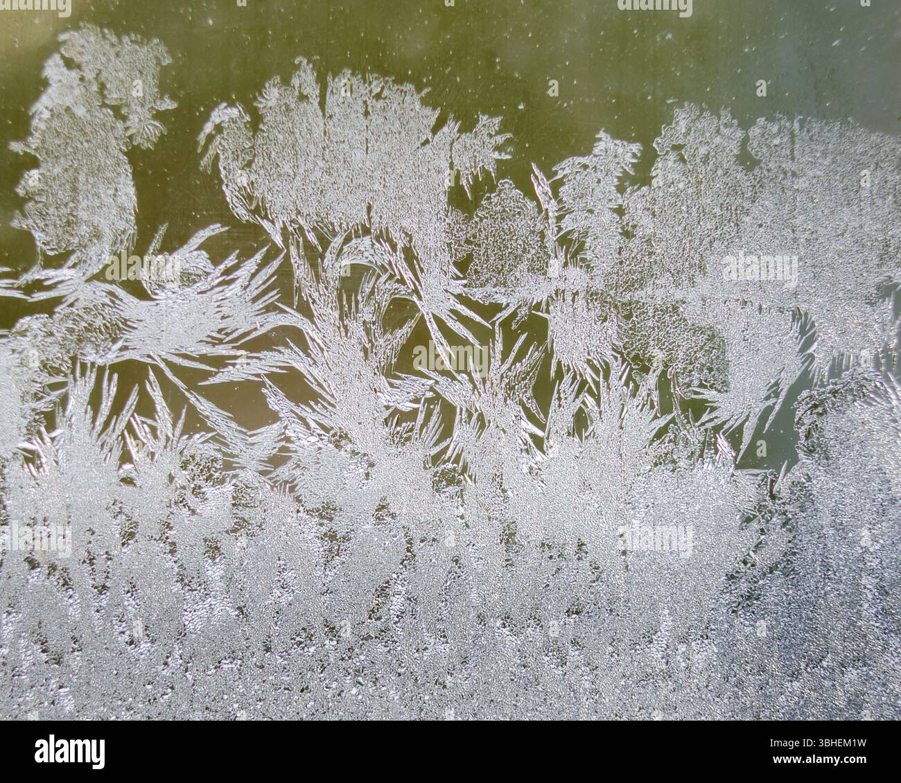 Primo piano di cristalli di ghiaccio invernali su una finestra su uno sfondo più scuro Foto Stock