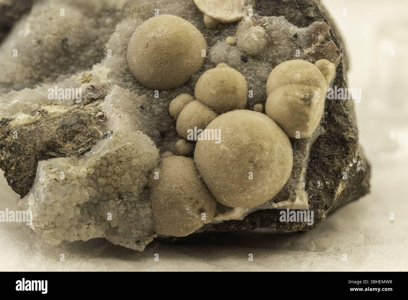 aragonite botrioidale con formazioni sferiche di cristalli beige su matrice scura. Ideale per collezionisti, formazione geologica o illustrazione scientifica. Foto Stock